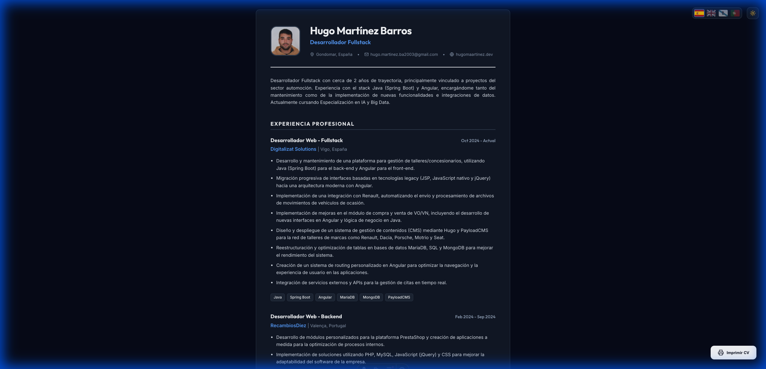 Captura de pantalla de mi currículum vitae online